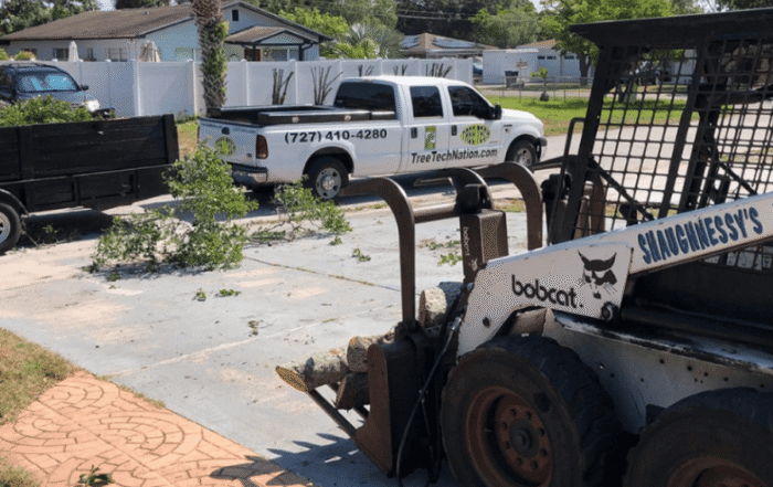 Sodding Equipment - Tree Tech LLC in Pinellas County, FL