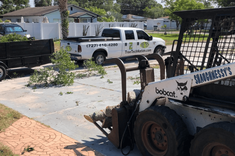 Sodding Equipment 052026 – Tree Tech LLC Sodding Equipment - Tree Tech LLC in Pinellas County, FL
