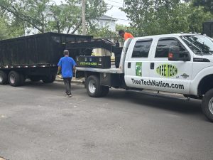 Tree Tech LLC crew in action delivering general tree services and hauling debris from a job site.