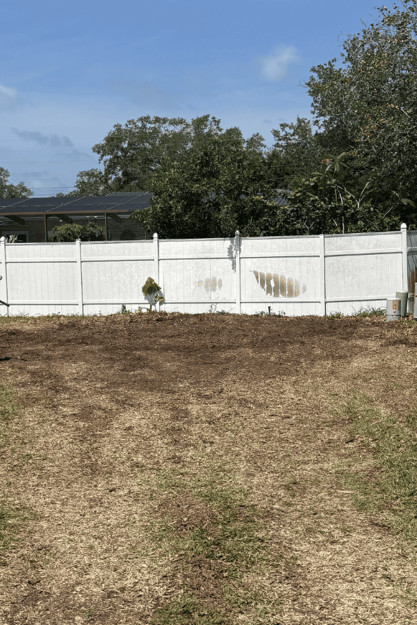 Big Tree Removal - After Photo 2 - Tree Tech LLC