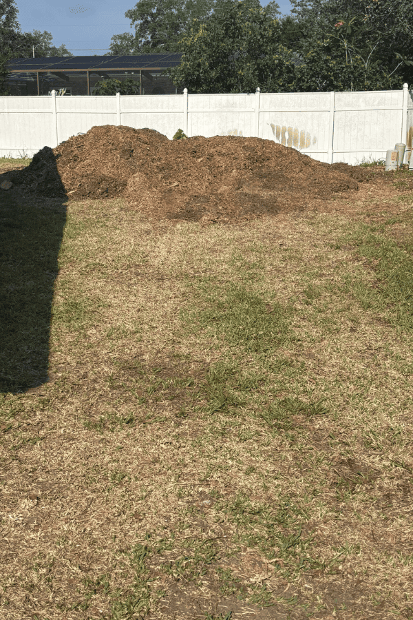 Big Tree Removal - After Photo - Tree Tech LLC
