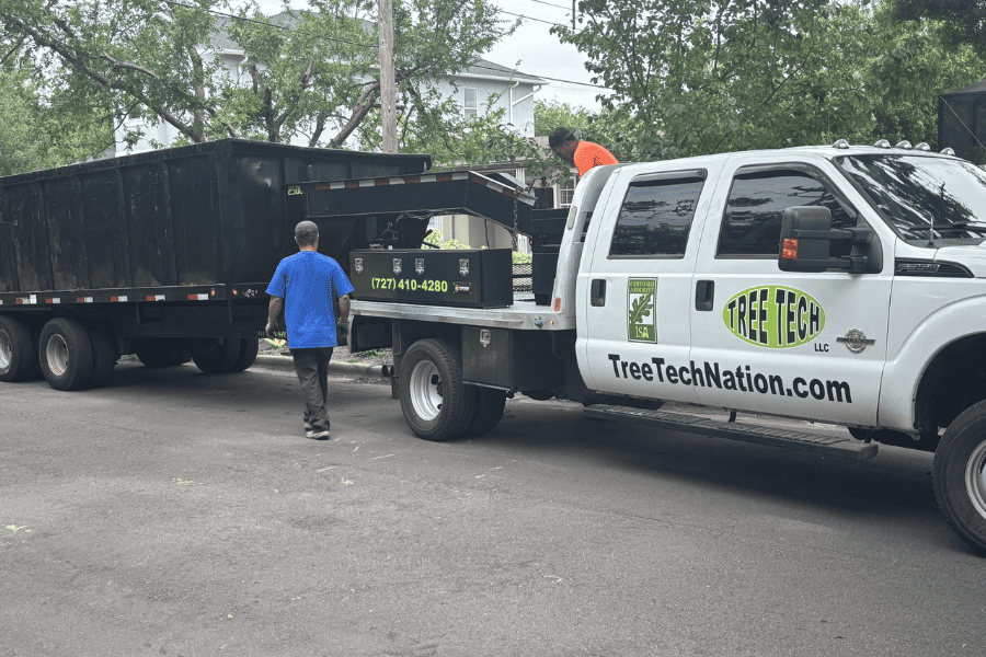 Hauling 052026 – Tree Tech LLC Tree Tech LLC crew in action delivering general tree services and hauling debris from a job site in Pinellas County, FL.