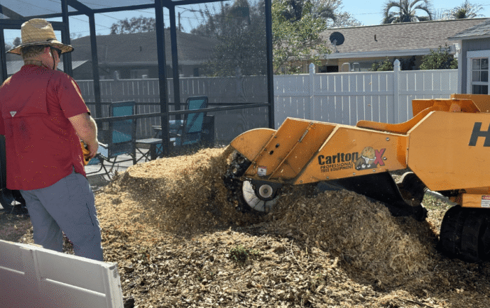 Stump Grinding in Pinellas County, FL - During Photo 3 - Tree Tech LLC