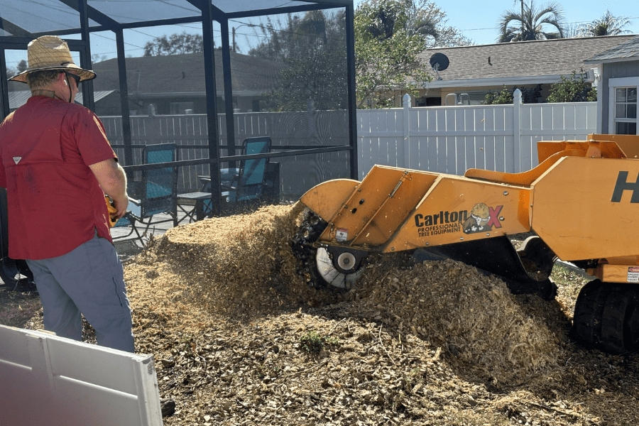 Stump Grinding – During Photo 3 – Tree Tech LLC Stump Grinding in Pinellas County, FL - During Photo 3 - Tree Tech LLC