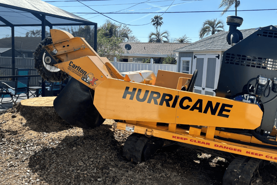 Stump Grinding - During Photo - Tree Tech LLC