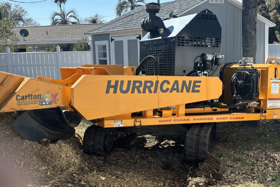 Grinding by Tree Tech LLC at Pinellas County, FL